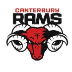 坎特伯雷公羊